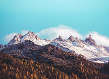 湖人关键时刻13连胜!41岁詹姆斯30+8+8无人能敌|勒布朗·詹姆斯|季后赛|微博|洛杉矶湖人队|勒布朗-詹姆斯_新浪体育_新浪新闻